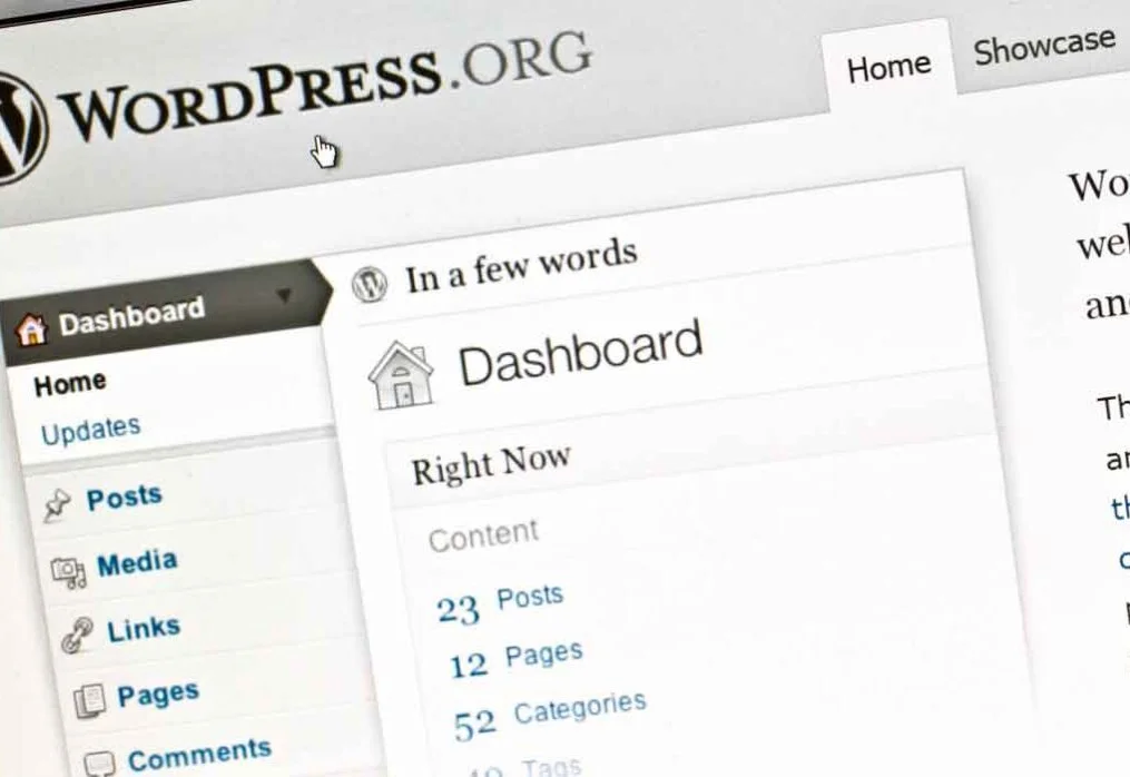 WordPress para empresas: 7 dicas infalíveis para um site eficaz